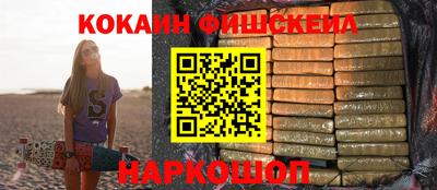дмт Аргун