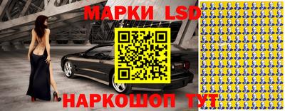 дмт Аргун