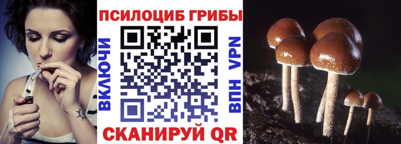 цена наркотик  Тюмень  Псилоцибиновые грибы мицелий 